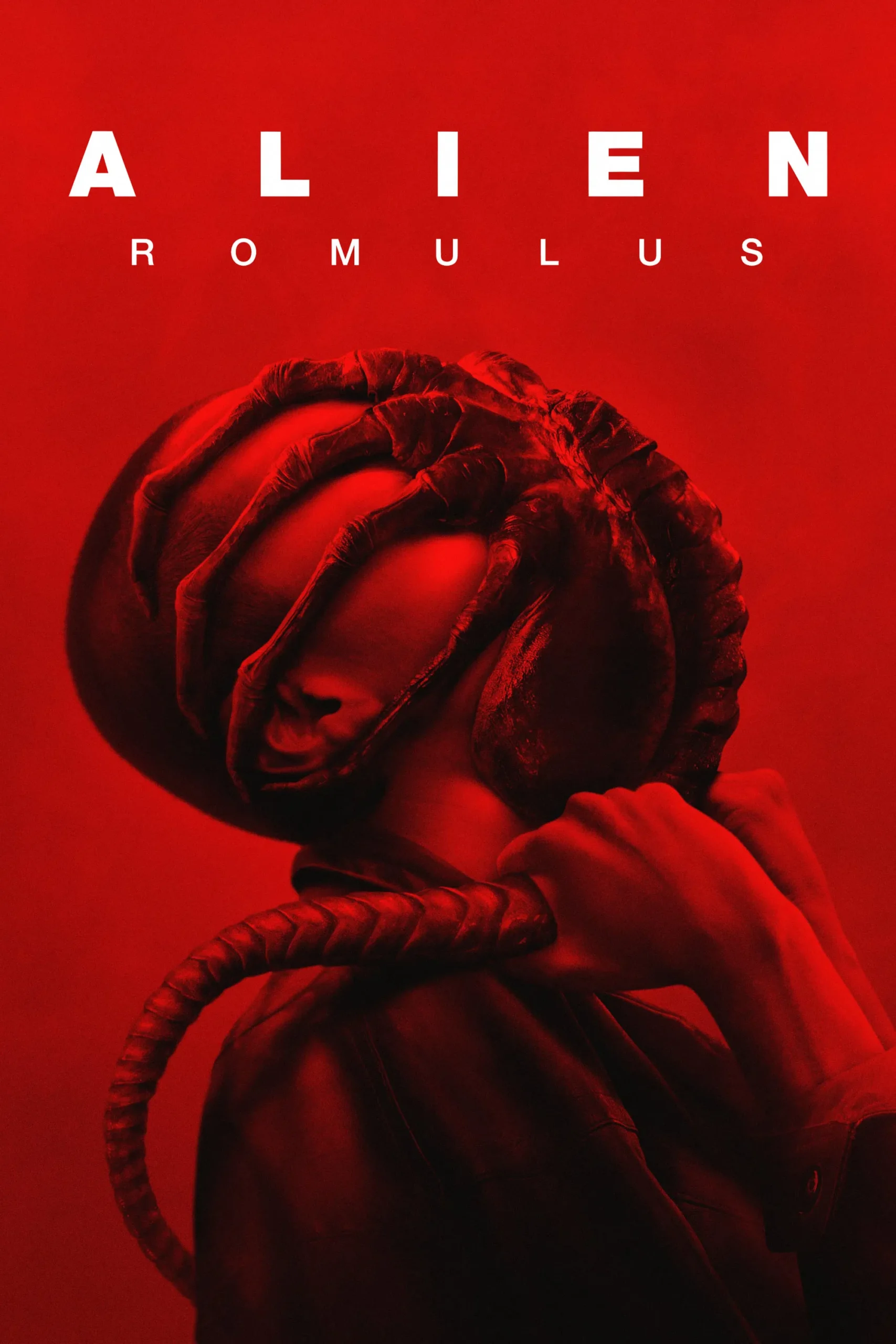 alien romulus 2024