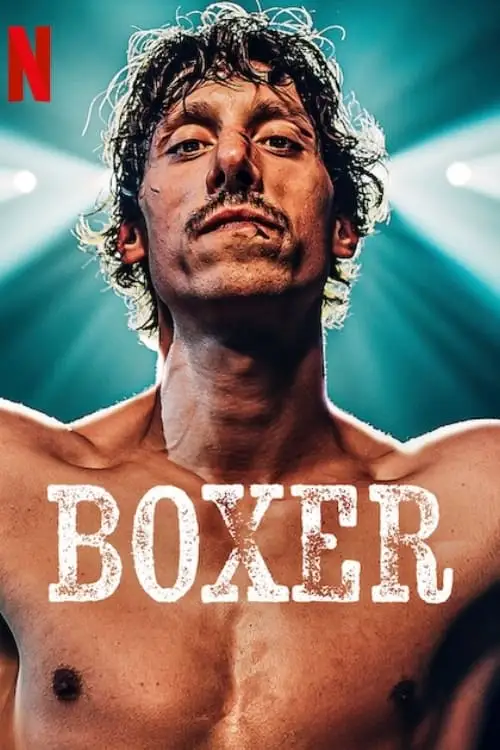 boxer 2024