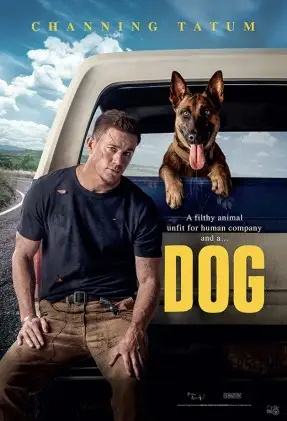 dog 2022