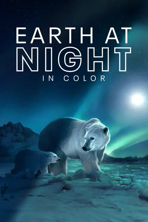 earth at night in color 2020
