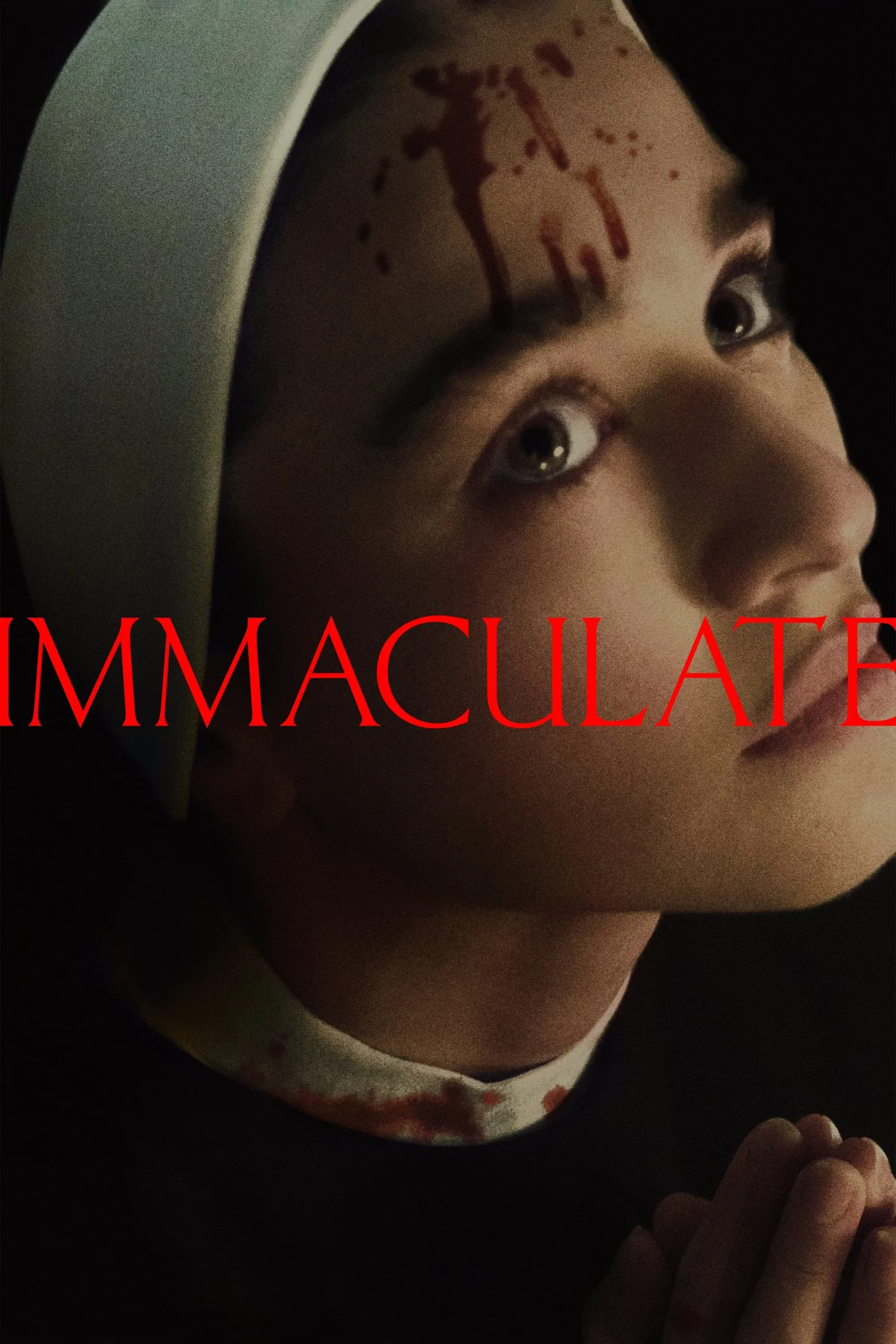 immaculate 2024