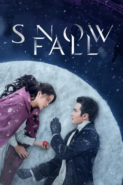 snow fall 2024