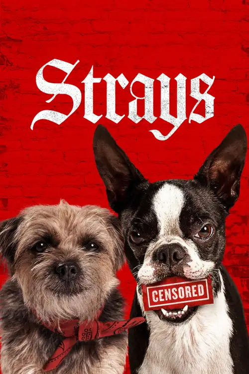 strays 2023