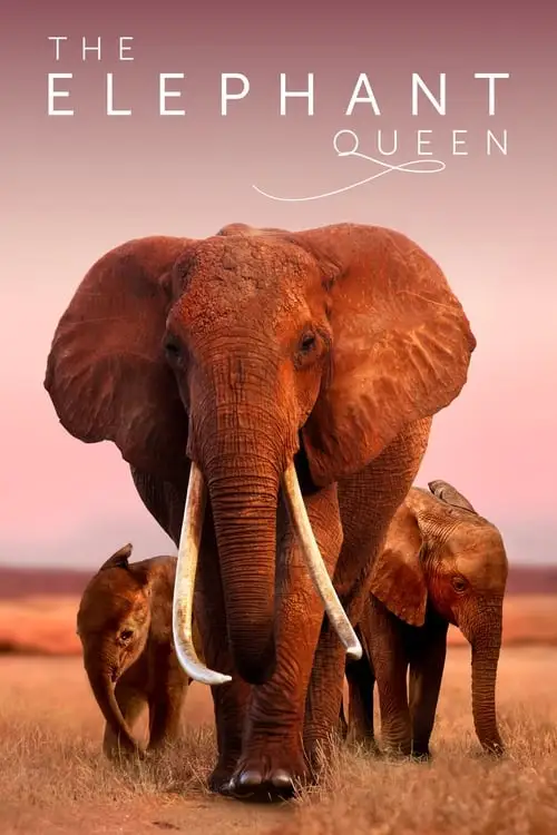 the elephant queen 2018