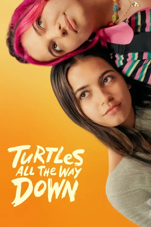 turtles all the way down 2024