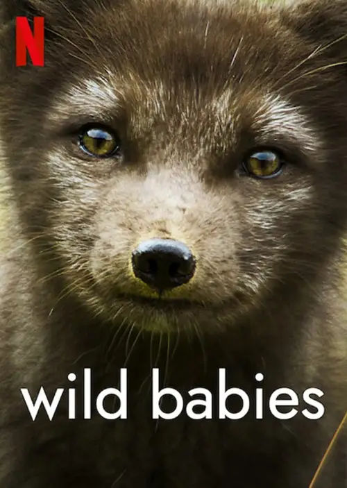 wild babies season 1 2022
